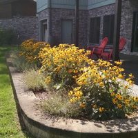 Perennial Garden